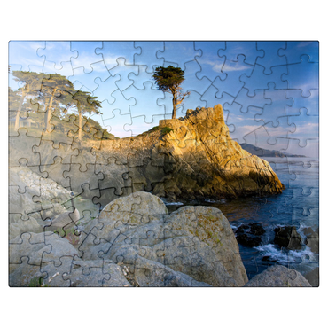 puzzleplate Monterey cypress (Lone Cypress) on the Pacific coast near 100 Jigsaw Puzzle
