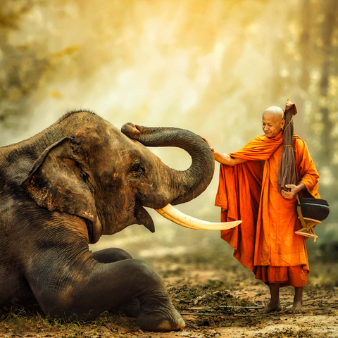 Monk hiking with the fancy elephant in the forest. 1000 Jigsaw Puzzle 3D Modell