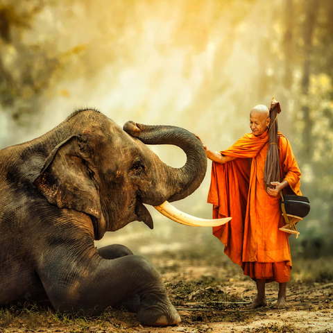 Monk hiking with the fancy elephant in the forest. 100 Jigsaw Puzzle 3D Modell