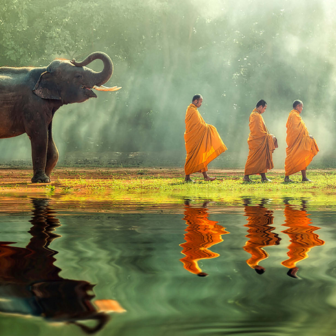 Young elephants with monk sallies round 1000 Jigsaw Puzzle 3D Modell
