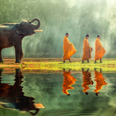 Young elephants with monk sallies round 100 Jigsaw Puzzle 3D Modell