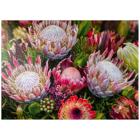 puzzleplate Protea 1000 Jigsaw Puzzle