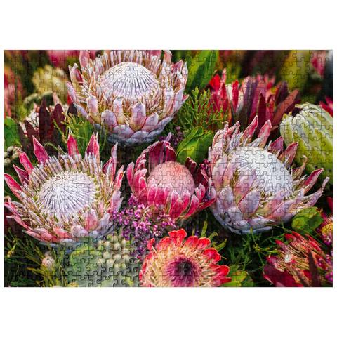 puzzleplate Protea 500 Jigsaw Puzzle
