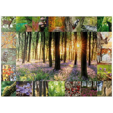 puzzleplate Forest Bathing - Collage 1000 Jigsaw Puzzle