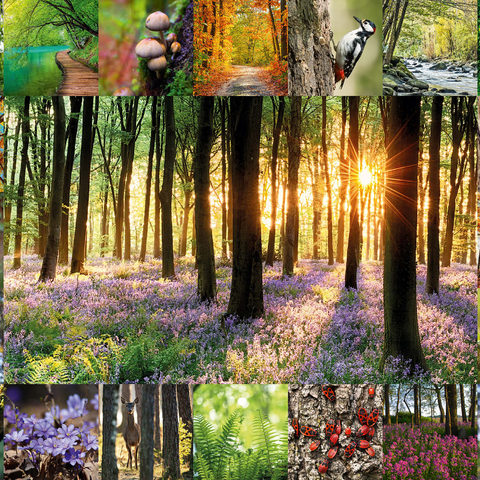 Forest Bathing - Collage 1000 Jigsaw Puzzle 3D Modell
