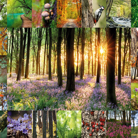 Forest Bathing - Collage 100 Jigsaw Puzzle 3D Modell