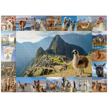 puzzleplate Llamas and alpacas - collage 1000 Jigsaw Puzzle