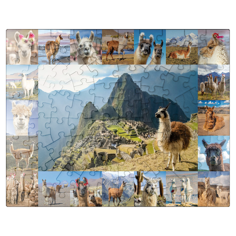 puzzleplate Llamas and alpacas - collage 100 Jigsaw Puzzle