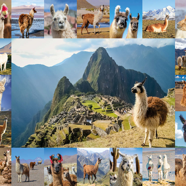 Llamas and alpacas - collage 100 Jigsaw Puzzle 3D Modell