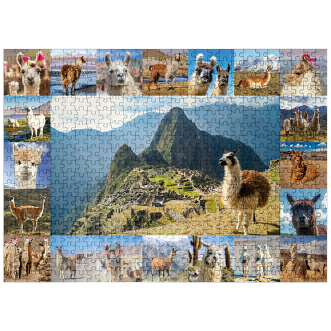 puzzleplate Llamas and alpacas - collage 500 Jigsaw Puzzle