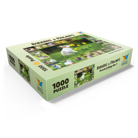 1000