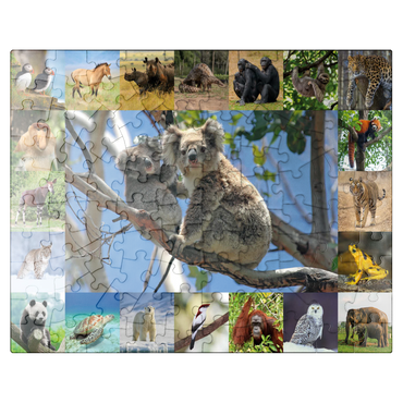 puzzleplate Endangered Species - Koalas - Collage 100 Jigsaw Puzzle