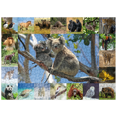 puzzleplate Endangered Species - Koalas - Collage 500 Jigsaw Puzzle