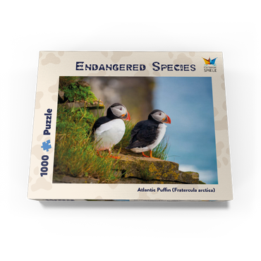 Endangered Species - Atlantic Puffin 1000 Jigsaw Puzzle box view1