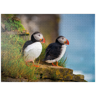 puzzleplate Endangered Species - Atlantic Puffin 1000 Jigsaw Puzzle