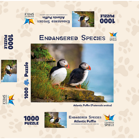 Endangered Species - Atlantic Puffin 1000 Jigsaw Puzzle box 3D Modell
