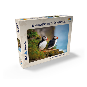 Endangered Species - Atlantic Puffin 100 Jigsaw Puzzle box view1