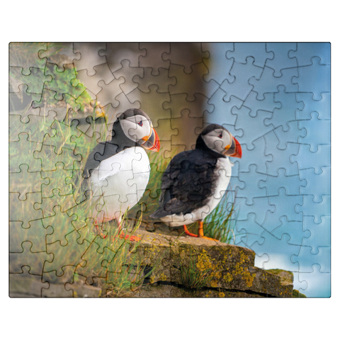 puzzleplate Endangered Species - Atlantic Puffin 100 Jigsaw Puzzle
