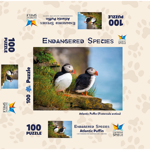 Endangered Species - Atlantic Puffin 100 Jigsaw Puzzle box 3D Modell