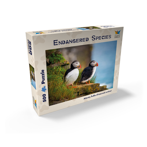 Endangered Species - Atlantic Puffin 500 Jigsaw Puzzle box view1