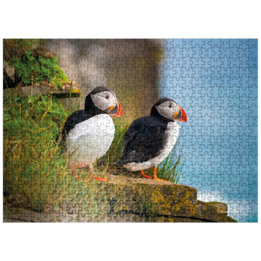 puzzleplate Endangered Species - Atlantic Puffin 500 Jigsaw Puzzle