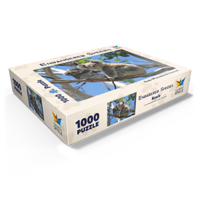 1000