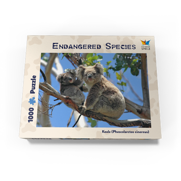 Endangered Species - Koalas 1000 Jigsaw Puzzle box view1