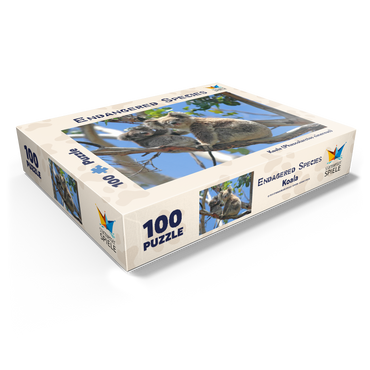 Endangered Species - Koalas 100 Jigsaw Puzzle box view1
