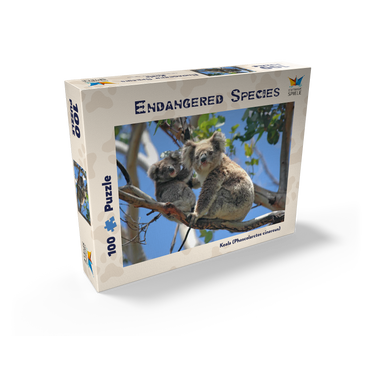 Endangered Species - Koalas 100 Jigsaw Puzzle box view1