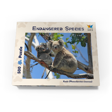 Endangered Species - Koalas 500 Jigsaw Puzzle box view1
