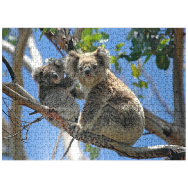 puzzleplate Endangered Species - Koalas 500 Jigsaw Puzzle