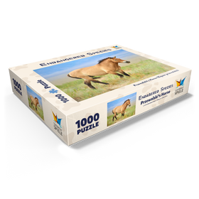 1000