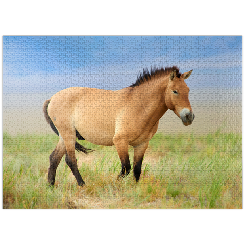 puzzleplate Endangered Species - Przewalski's Horse 1000 Jigsaw Puzzle