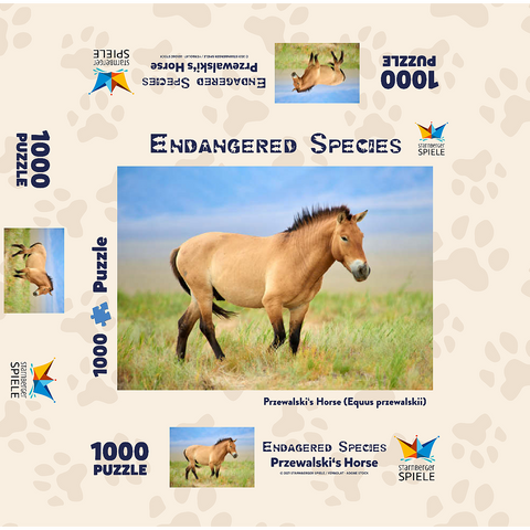 Endangered Species - Przewalski's Horse 1000 Jigsaw Puzzle box 3D Modell