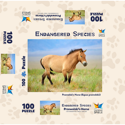 Endangered Species - Przewalski's Horse 100 Jigsaw Puzzle box 3D Modell