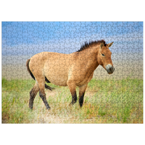 puzzleplate Endangered Species - Przewalski's Horse 500 Jigsaw Puzzle