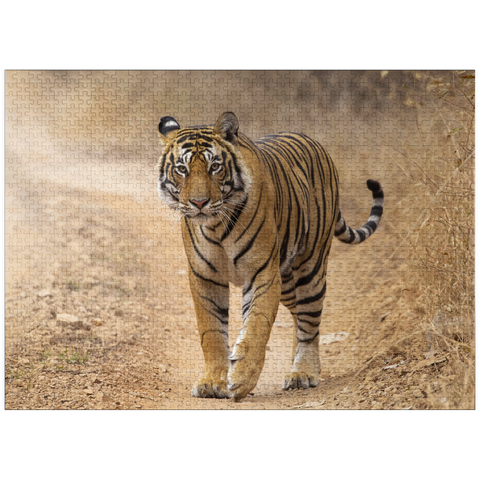 puzzleplate Endangered Species - Bengal Tiger 1000 Jigsaw Puzzle