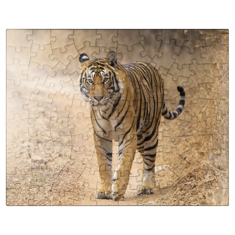 puzzleplate Endangered Species - Bengal Tiger 100 Jigsaw Puzzle