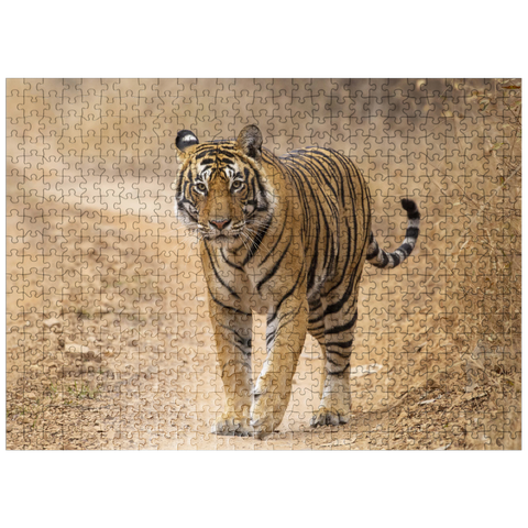 puzzleplate Endangered Species - Bengal Tiger 500 Jigsaw Puzzle