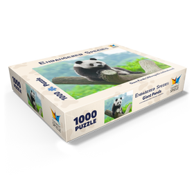 1000