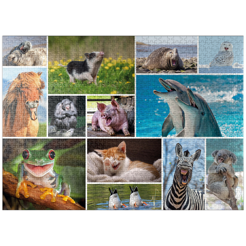 puzzleplate Funny Animals - Collage 1000 Jigsaw Puzzle