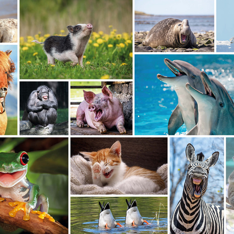 Funny Animals - Collage 1000 Jigsaw Puzzle 3D Modell
