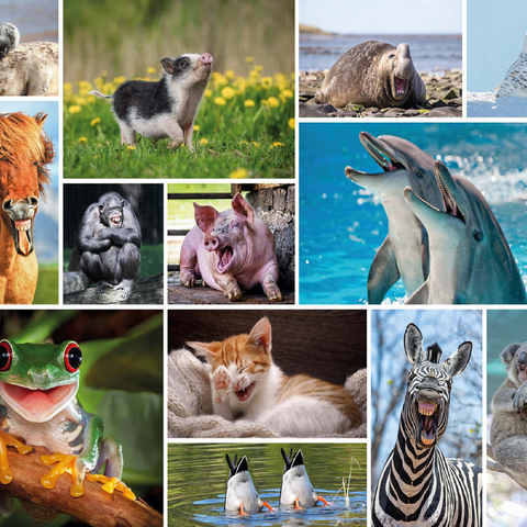 Funny Animals - Collage 100 Jigsaw Puzzle 3D Modell