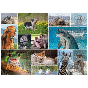 puzzleplate Funny Animals - Collage 500 Jigsaw Puzzle