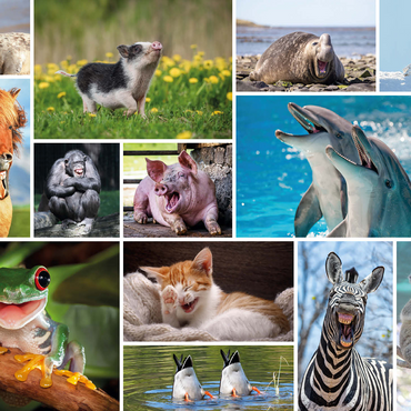 Funny Animals - Collage 500 Jigsaw Puzzle 3D Modell
