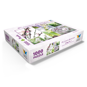 1000
