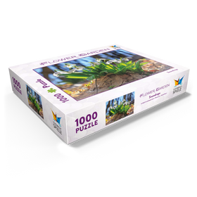 1000