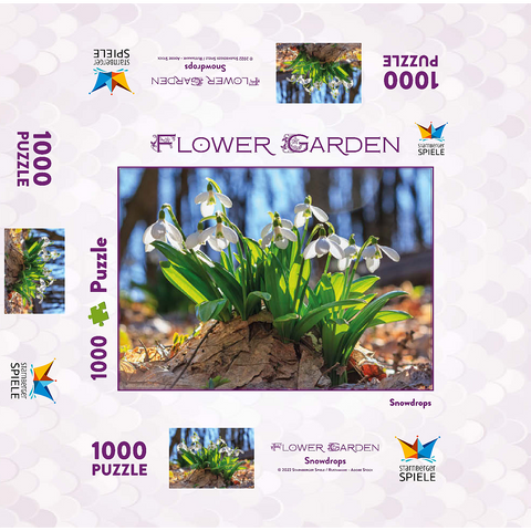 Flower Garden - Snowdrops 1000 Jigsaw Puzzle box 3D Modell