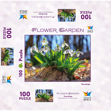 Flower Garden - Snowdrops 100 Jigsaw Puzzle box 3D Modell