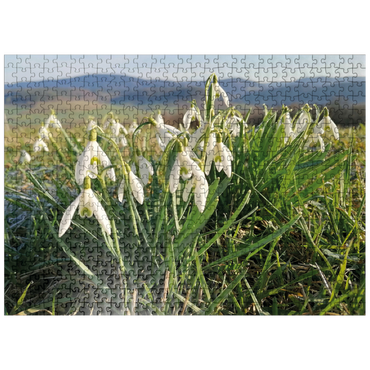 puzzleplate Flower Garden - Snowdrops 500 Jigsaw Puzzle
